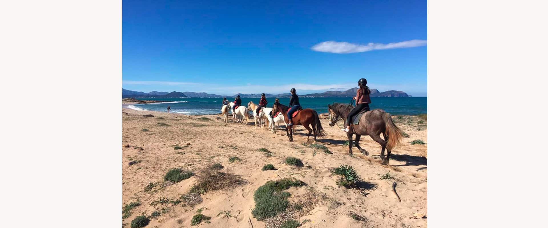 Excursiones a caballo en Mallorca