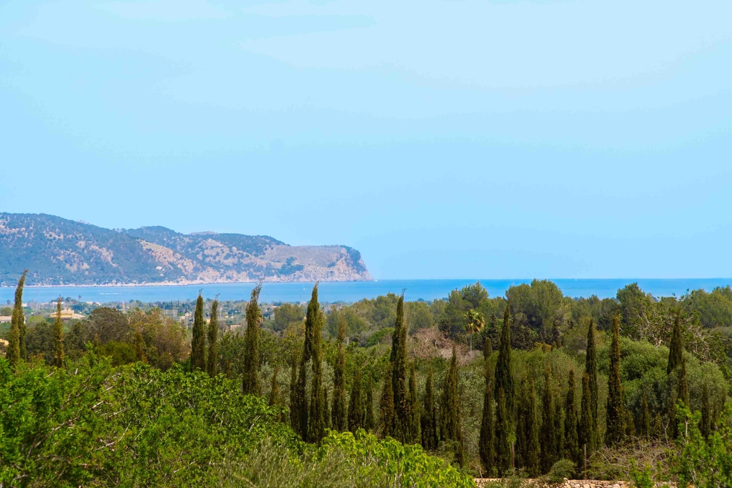 Finca “Casa Padrón” with own vineyard and sea views