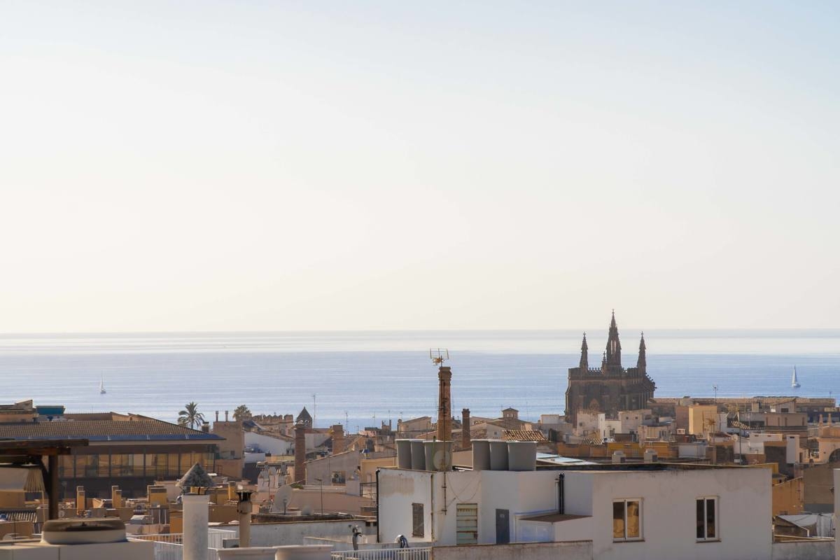 Investitionsmöglichkeit! 3 Wohnungen mit Terrasse – Palma